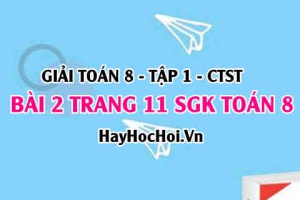 Giải bài 2 trang 11 Toán 8 Tập 1 SGK Chân trời sáng tạo